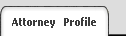 Attorneys Profile